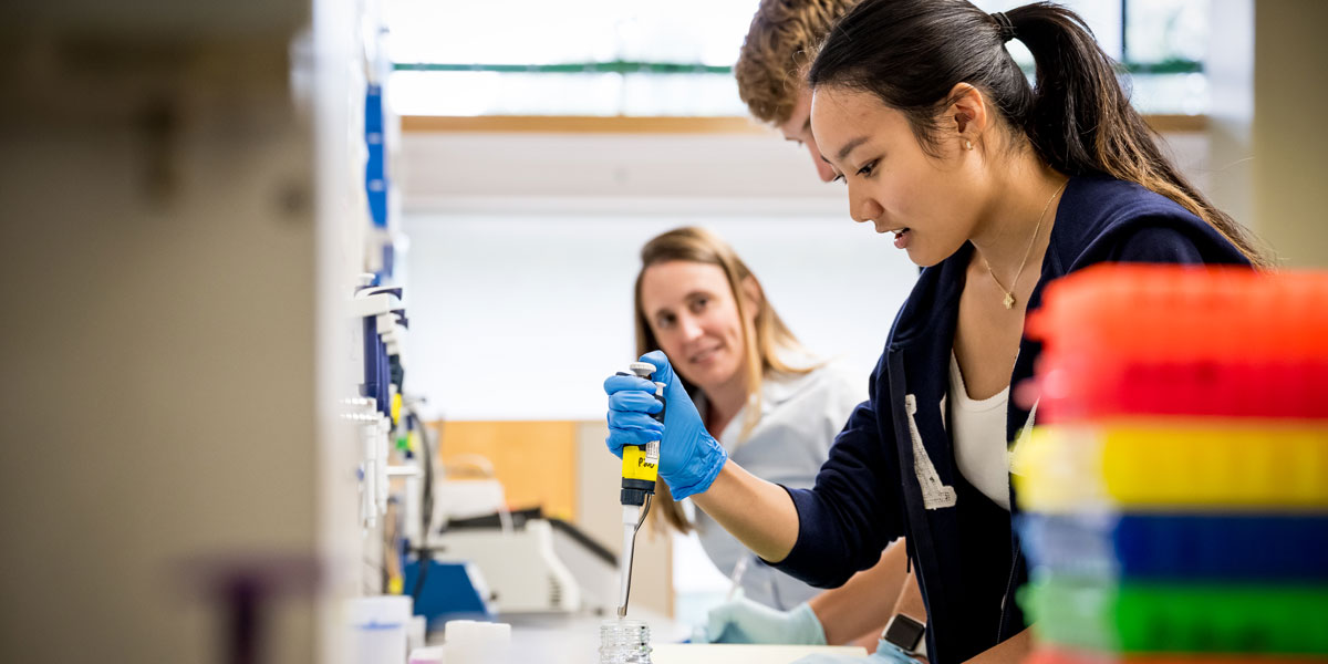 Students and faculty working in the lab