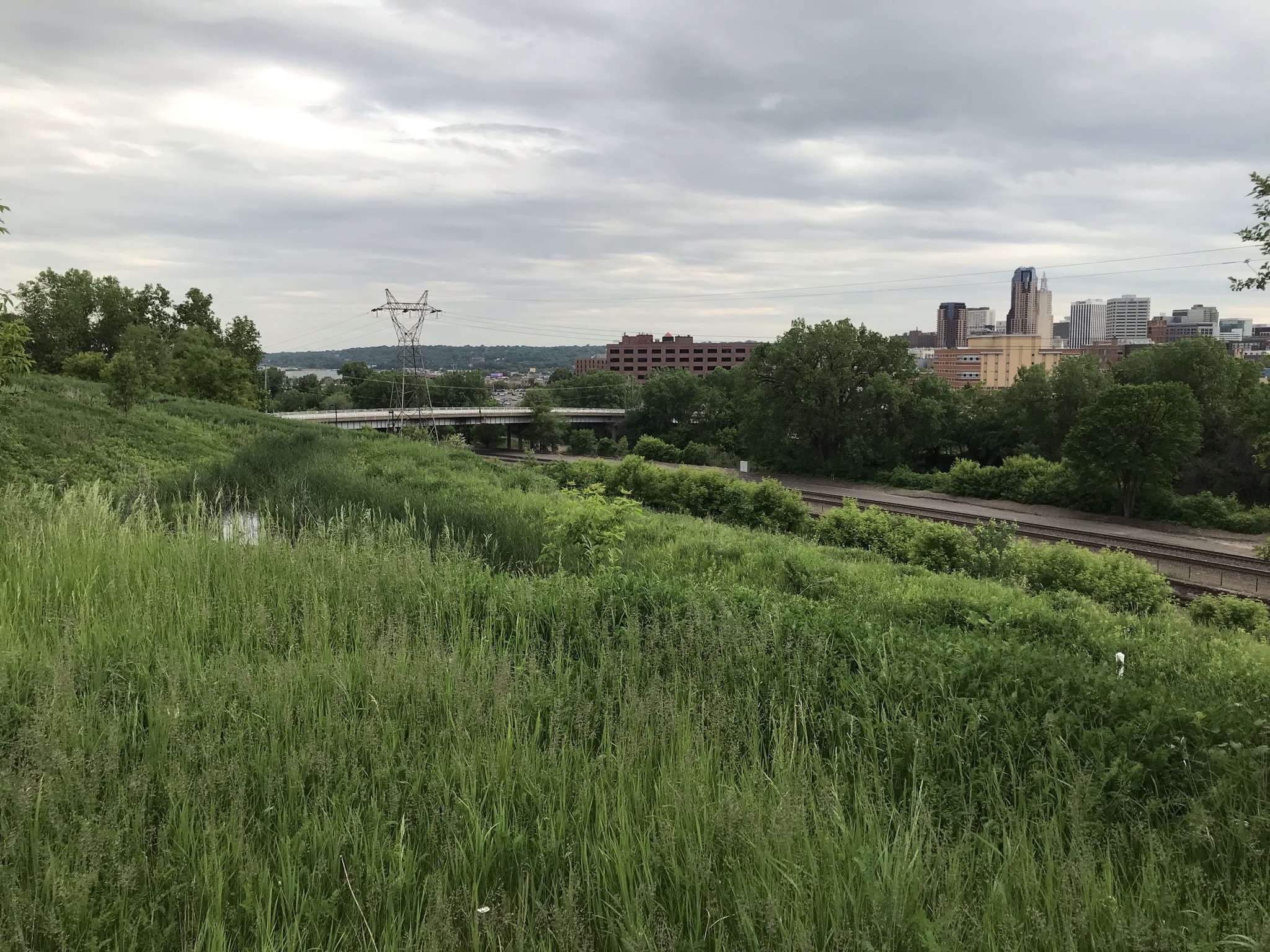 urban ecology on Rivoli street