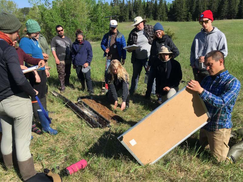 Itasca soils class