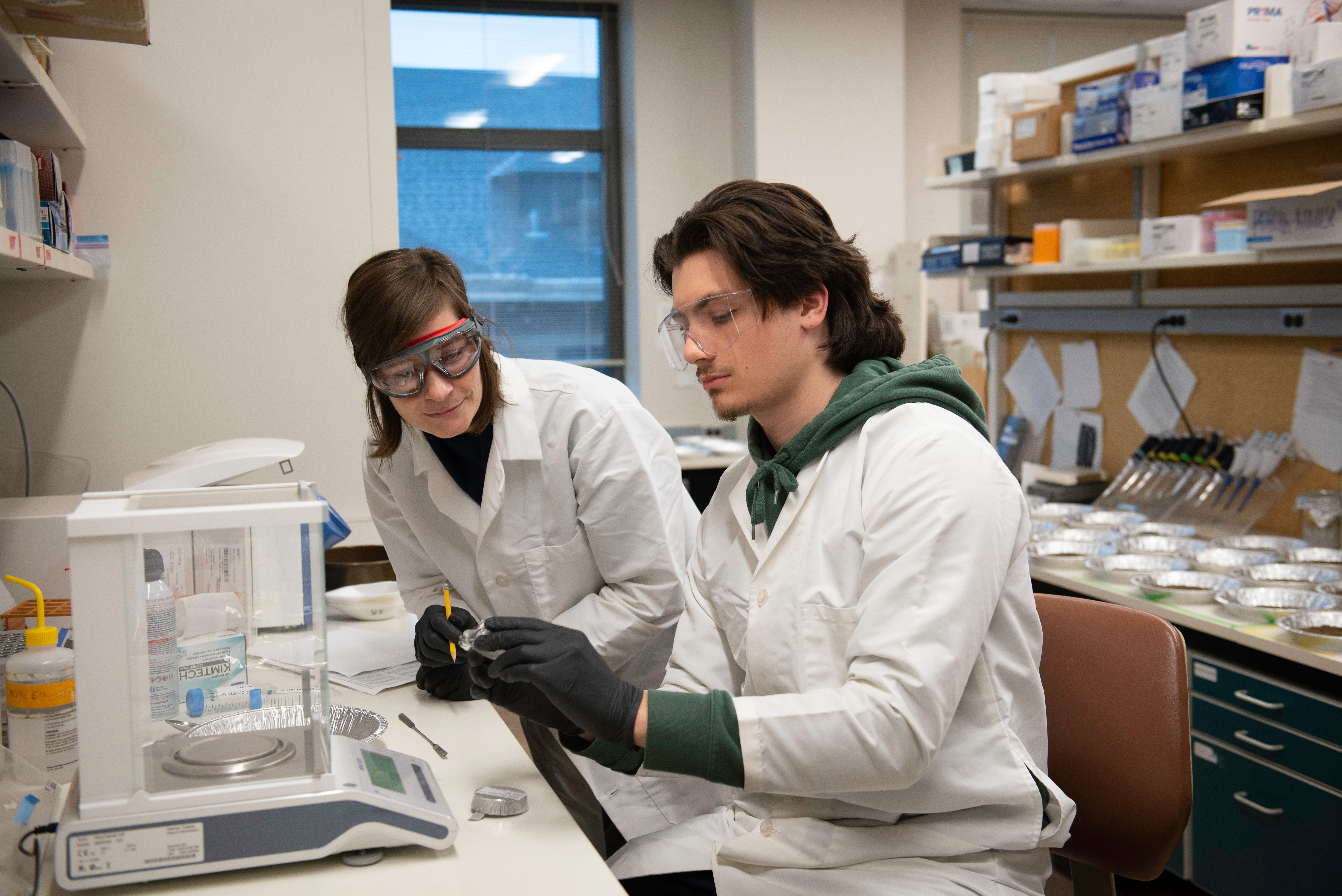 student researcher in Seabloom lab