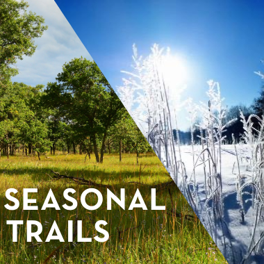 prairie in the snow and oak savanna in the summer