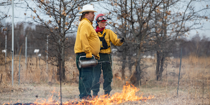 Prescribed burning at Cedar Creek