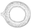 GI cross section