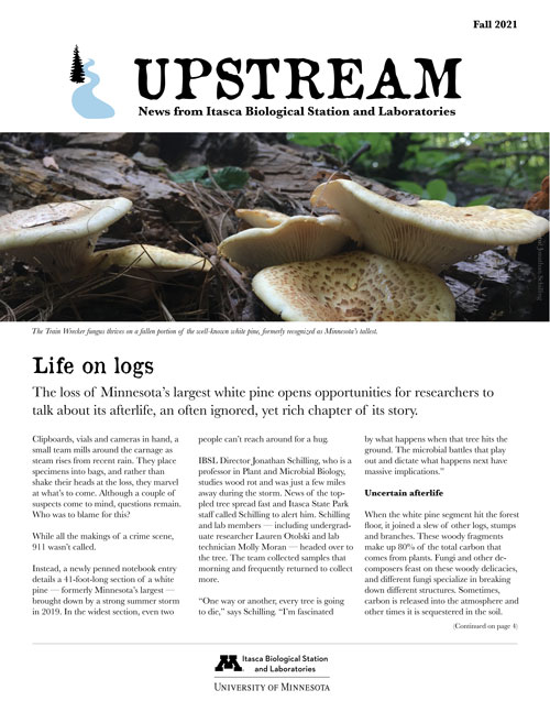 Front page of Upstream Fall 2021