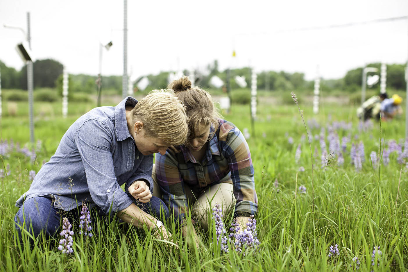 Sarah Hobbie working with a student in the field