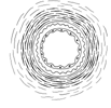 Artery Cross Section