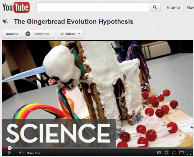 Gingerbread evolution hypothesis YouTube screenshot