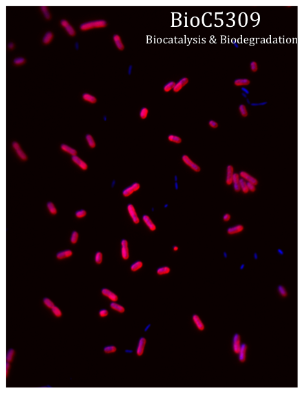 Cover of BioC5309 Biocatalysis and Biodegradation