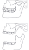 Teeth