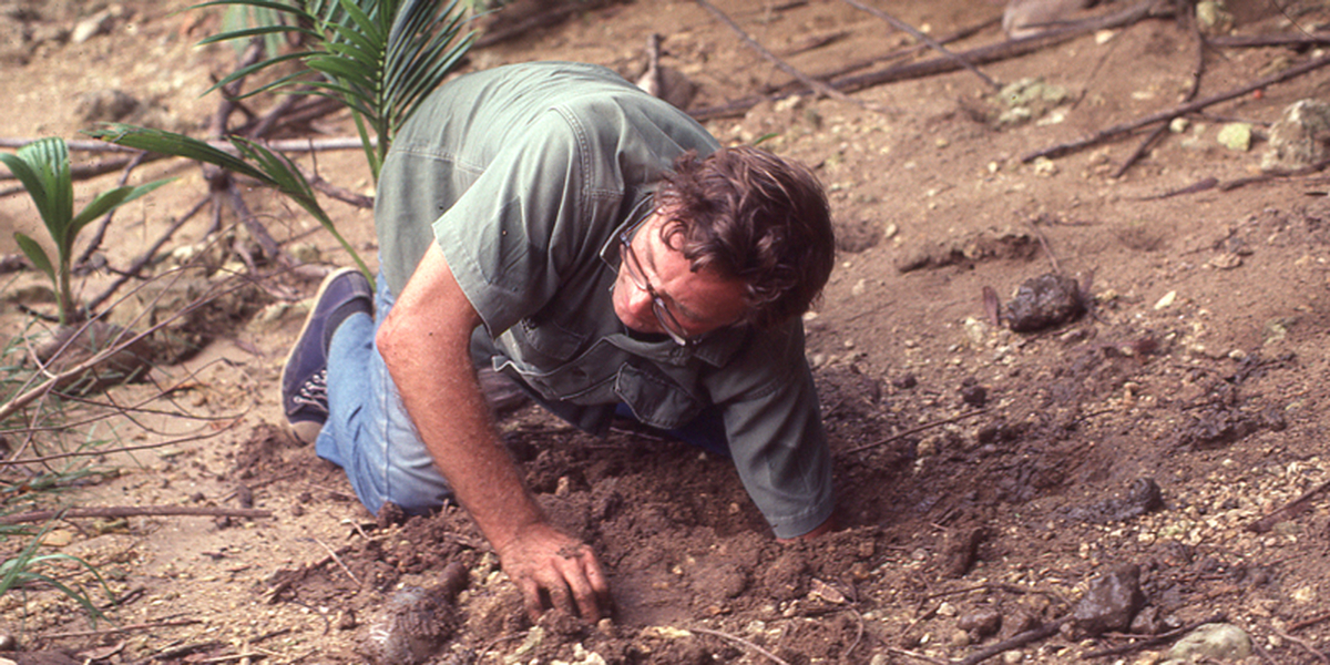 Frank Barnwell looking for crabs