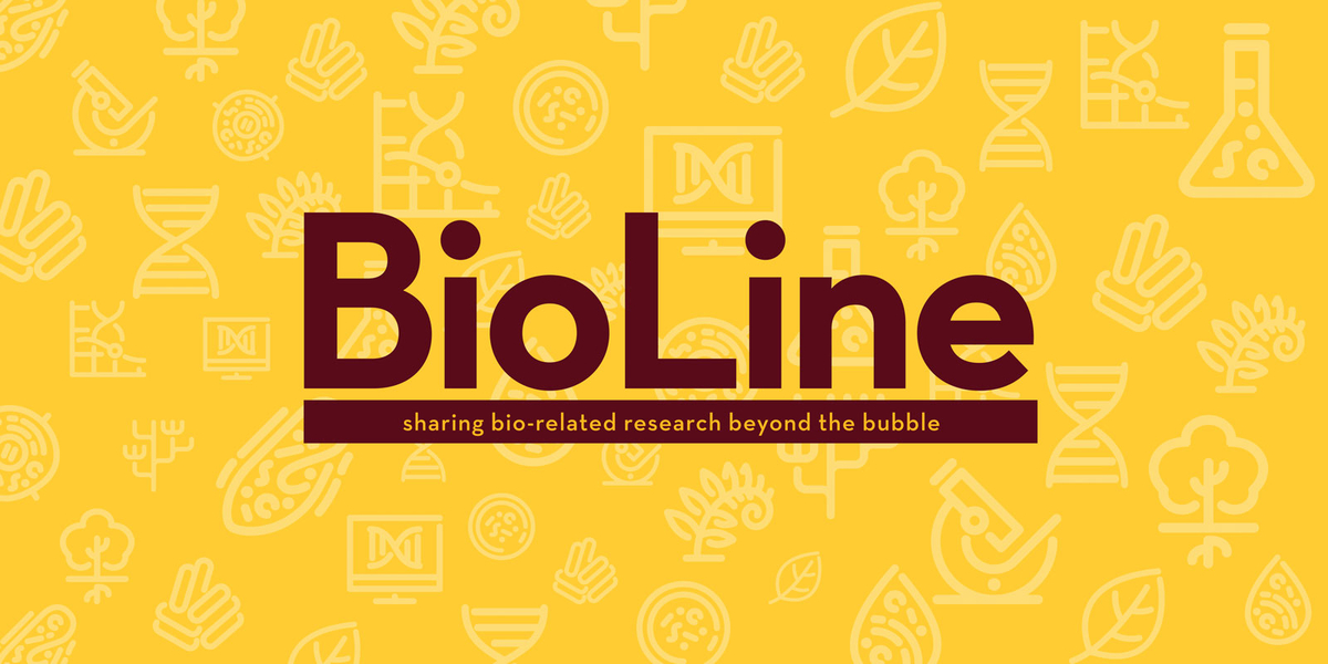 Maroon text reading "BioLine" with smaller text underneath - Sharing bio-releated research beyond the bubble