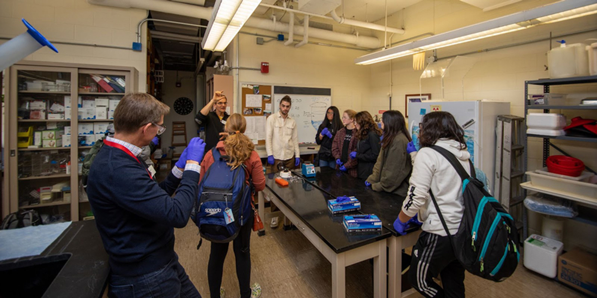 Burckhard Seelig and students work in the lab