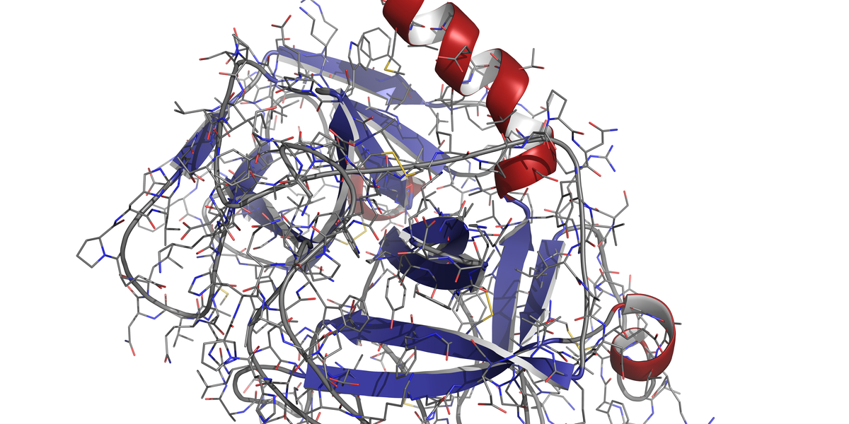 protein molecule