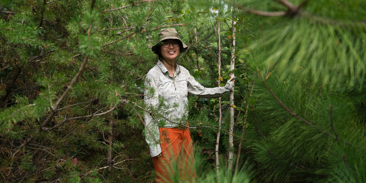 Maria Park's "tree neighborhood"