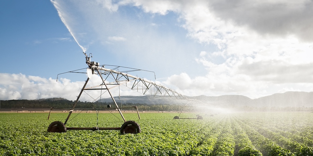 Irrigation system sprays over a field