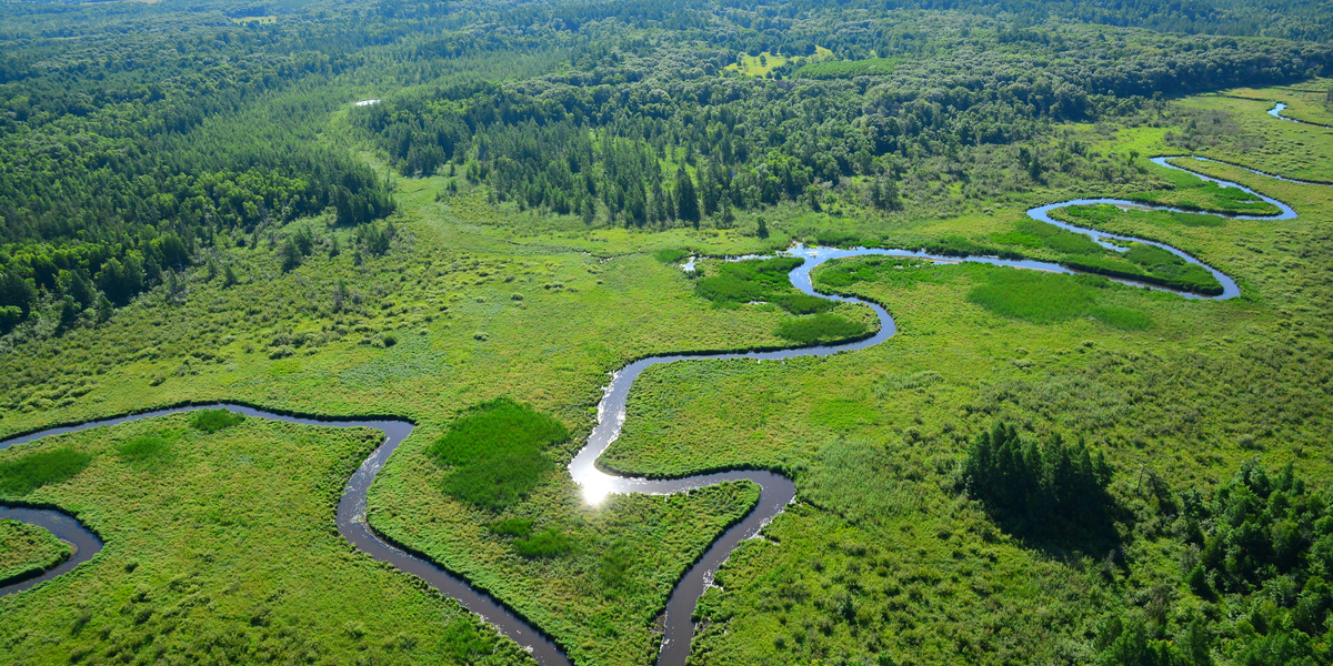 Aerial view of Cedar Creek Ecosystem Science Reserve