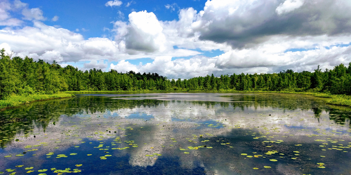 Cedar Bog Lake