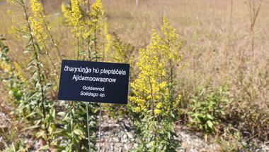 mn ecology walk signage