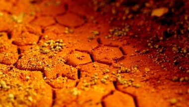 Surface of Mars