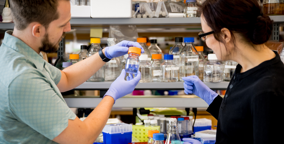 Faculty and student working in lab