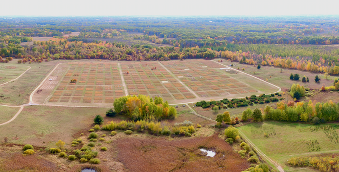 Research fields at Cedar Creek