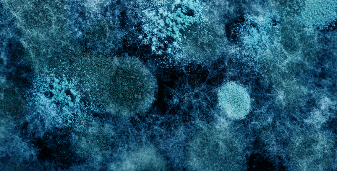 Close up image of viruses and bacteria