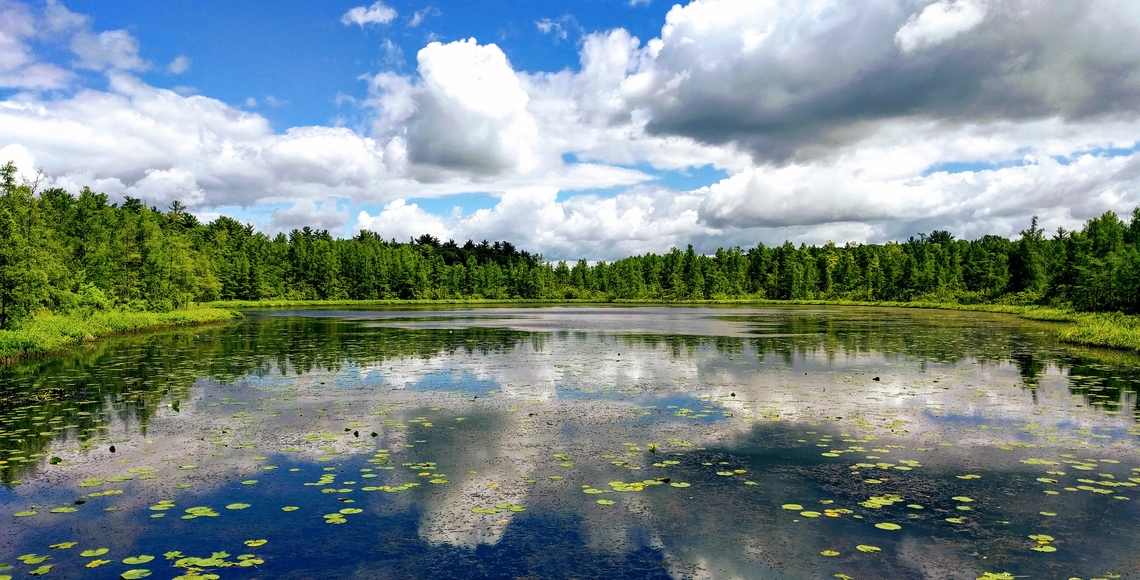 lake ringed with trees under a sunny blue sky with clouds