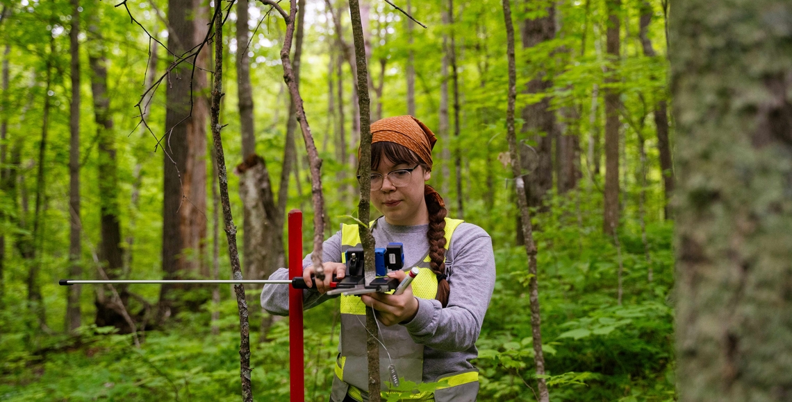 Itasca ForestGeo student