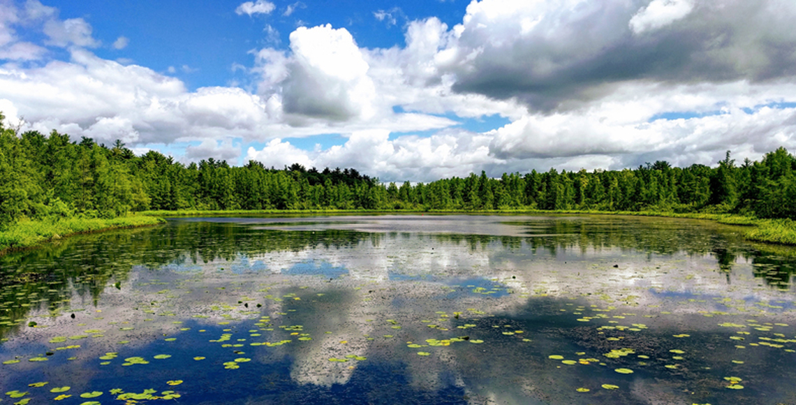 Cedar Bog Lake