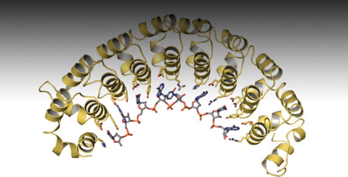 Scientific structure