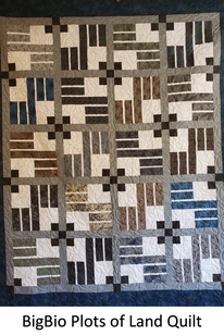 Birch Bark Quilt