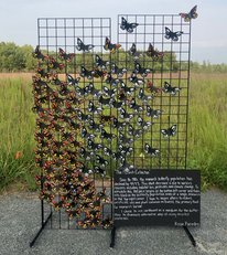 Installation of butterflies made of cardboard