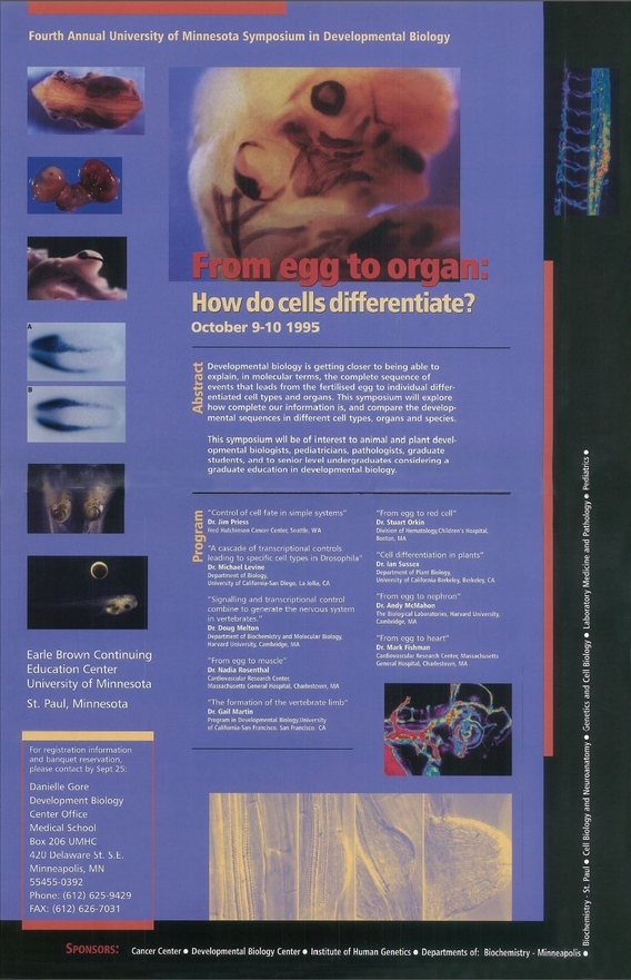 4th Annual DBC Symposium poster. Titled "From Egg to Organ: How Do Cells Differentiate?"