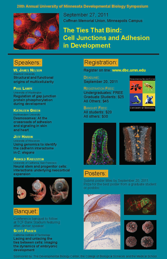 20th Annual DBC Symposium poster. Titled "The Ties That Bind: Cell Junctions and Adhesion in Development"