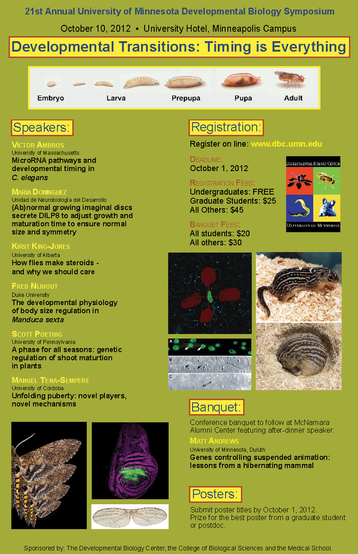 21st Annual DBC Symposium poster. Titled "Developmental Transitions: Timing is Everything"